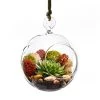 Vase Market Hanging Glass Plant Terrarium, Candle Holder. H-4.5" D-4" (Multiple Packing)