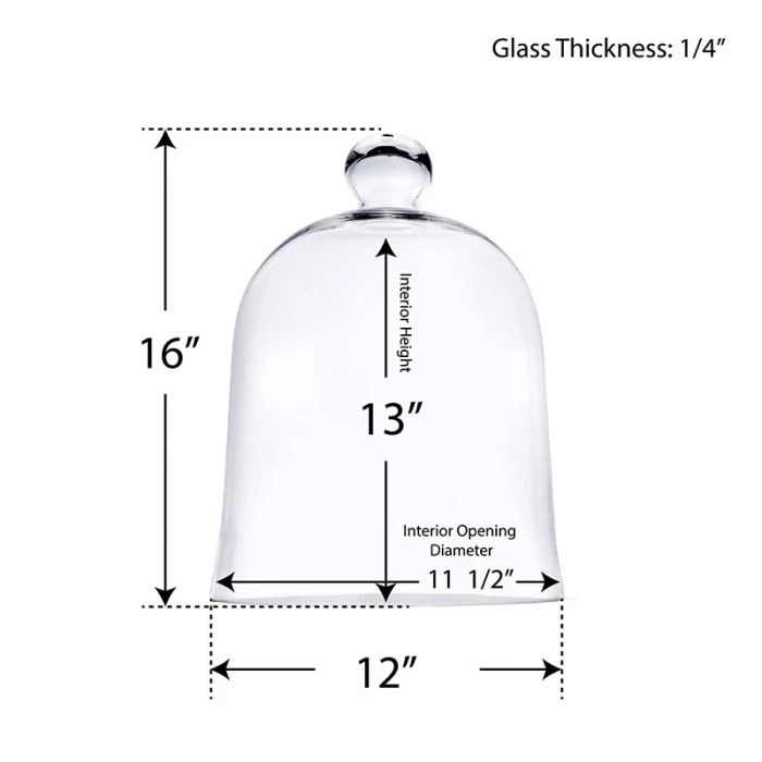 Vase Market Glass Cloche Dome H-16" D-12" Terrarium Bell Jar 2 Vase Market Glass Cloche Dome H-16" D-12" Terrarium Bell Jar - Image 2