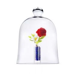 Vase Market Glass Cloche Dome H-16" D-12" Terrarium Bell Jar 7 Vase Market Glass Cloche Dome H-16" D-12" Terrarium Bell Jar -vasemark Shop large glass cloches knob gcl101 16.flower.800