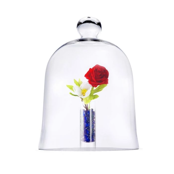 Vase Market Glass Cloche Dome H-16" D-12" Terrarium Bell Jar 4 Vase Market Glass Cloche Dome H-16" D-12" Terrarium Bell Jar - Image 4