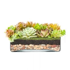 Vase Market 2 Pcs Glass Square Vase Wide Opening. H-3.25" Open-10"x 10" (Multiple Packing) -vasemark Shop large glass square vases gcb109.succulent..800