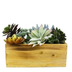 Vase Market Wood Rectangle Light Brown Planter Box W/ Plastic Liner H-4" Open-10"x5" (Multiple Packing) 9 Vase Market Wood Rectangle Light Brown Planter Box W/ Plastic Liner H-4" Open-10"x5" (Multiple Packing) -vasemark Shop rectangle wood planter liner unfinished wpcb051004un 6