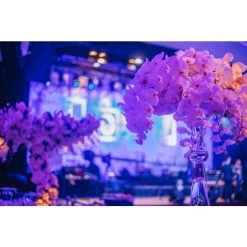 Vase Market Reversible Clarinet Glass Trumpet Vase H-30" X 7.5" 9 Vase Market Reversible Clarinet Glass Trumpet Vase H-30" X 7.5" -vasemark Shop reversible trumpet vase gtr161 1