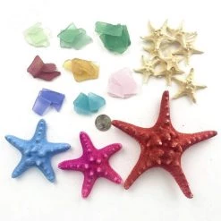 Vase Market 4.6 Lbs Assorted Sea Shells And Sea Glass In Various Size 0.5" - 5" Nautical Decor -vasemark Shop seashells mix color1 2