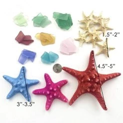 Vase Market 4.6 Lbs Assorted Sea Shells And Sea Glass In Various Size 0.5" - 5" Nautical Decor -vasemark Shop seashells mix color2 1