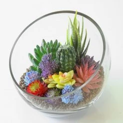 vasemark Shop 33 Vase Market Glass Slant Cut Bowl. H-6.25" D-6.75" Tilted Bowl Terrarium (Multiple Packing)
