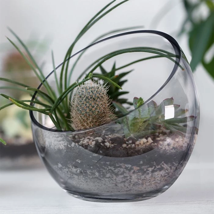 Vase Market Glass Slant Cut Bowl. H-9" D-10" Tilted Bowl Terrarium (Multiple Packing) 6 Vase Market Glass Slant Cut Bowl. H-9" D-10" Tilted Bowl Terrarium (Multiple Packing) - Image 6
