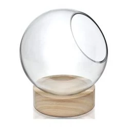 Vase Market Slant Cut Bubble H-8.5" D-4.5" Terrarium Bowls With Wood Base (Multiple Packing) -vasemark Shop slant cut bowl with wood base gcu220 07 10