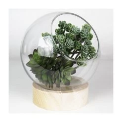 Vase Market Slant Cut Bubble H-8.5" D-4.5" Terrarium Bowls With Wood Base (Multiple Packing) -vasemark Shop slant cut bowl with wood base gcu220 07