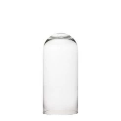 Vase Market Glass Dome Cloche Bell Jar Terrarium, H-14" (Multiple Packing) -vasemark Shop slim glass domes cloches gdo110 14