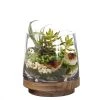 Vase Market Terrarium Vase On Wood Base Stand. H-6", D-4.5" (Multiple Packing)