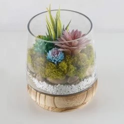 Vase Market Terrarium Vase H-8", D-5" On Wood Base Stand (Multiple Packing) -vasemark Shop terrarium taper up vase wood base gch230 08 plant.1000 1