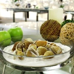 Vase Market 8.8 Lbs Strombus Sea Shells 2" - 3" (Approx. 240 Pcs) - Multiple Packing -vasemark Shop vfss0107 00 3