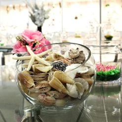 Vase Market Assorted Mixed Beach Seashells - 3.2 Lbs (Approx. 210 Pcs) -vasemark Shop vfss2001 00 4