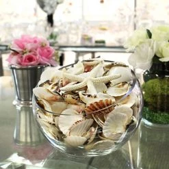Vase Market Assorted Mixed Beach Seashells - 3.2 Lbs (Approx. 200 Pcs) -vasemark Shop vfss2002 00 5