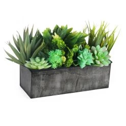 Vase Market Zinc Rectangle Galvanized Planter Iron Grey Finish. H-4" Open-12"x5" (Multiple Packing) -vasemark Shop zicb051204 plant