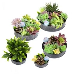 Vase Market Set Of 5 Zinc Cylinder Dish Iron Grey Finish D-4",5",6",7",8" (Multiple Packing) 11 Vase Market Set Of 5 Zinc Cylinder Dish Iron Grey Finish D-4",5",6",7",8" (Multiple Packing) -vasemark Shop zinc metal trays zicy080802s5 003 1000